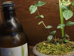 -古今茶语·峨眉山有机茶体验馆