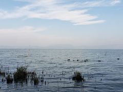 -捞渔河湿地公园