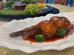 -丁老爷子苏香圆