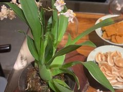 -31号公馆(黄兴广场白果园店)