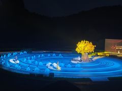 -鼎盛王朝康熙大典实景演出