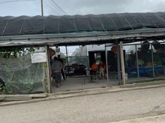 -马陆小张葡萄园农家乐