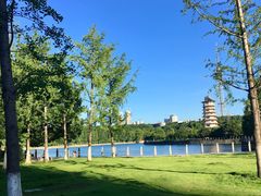 -食膳公园包子铺(烈士公园店)