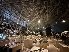 -世界恐龙谷景区