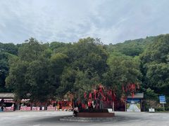 -句容茅山景区