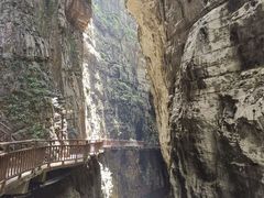 -武陵山森林公园