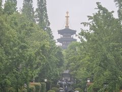 -枫桥景区