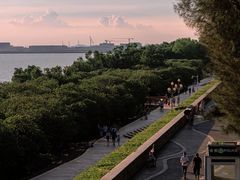 -宝安西湾红树林湿地公园