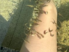 -咸宁万豪温泉谷度假区