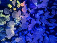 -华夏文旅西安度假区