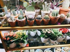 -茶马花街(城西银泰城店)