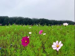 -石棉县孟获城