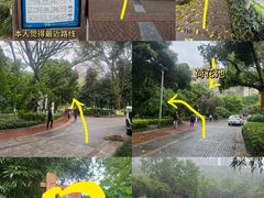 -龙头寺公园
