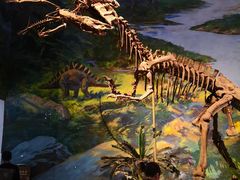 -自贡恐龙博物馆