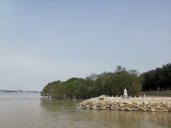 -宝安西湾红树林湿地公园