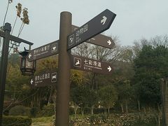 -黄陂区野村谷景区
