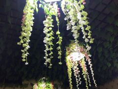 -黔府豆米火锅野菜馆(南马店)