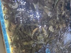 -聚盛源蒸汽海鲜火锅烤肉自助(巨川金海岸购物广场店)