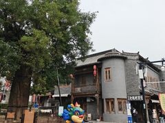 -老槐树煎包