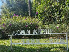 -云溪植物园