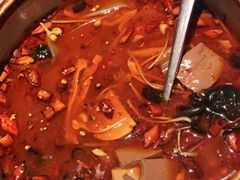 重庆毛血旺-宝燕壹号(徐汇店)