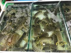 -拉威海鲜市场