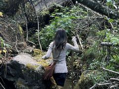 -峡谷浮石林景区