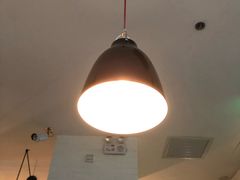 -油梨树 AVOCADO TREE(亮马桥店)