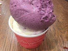 冰淇淋-Patagonia Chocolates(皇后镇店)