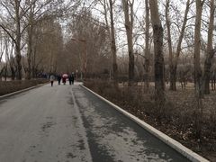 -长春公园(普阳街道)