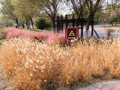 -永定河休闲森林公园