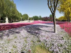 -石家庄市植物园