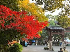 -杭州半山国家森林公园