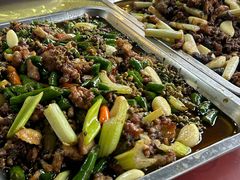 -铁山坪森林公园