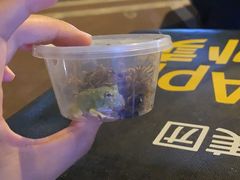 -青石桥花鸟鱼虫市场(叠翠城店)