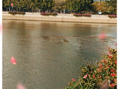 -海心沙亚运公园