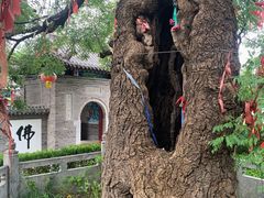 -杨家埠民间艺术大观园