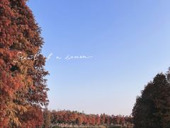 -厦门园林博览苑