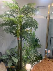 -八佰伴8008星级形象店