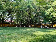 -西园戒幢律寺