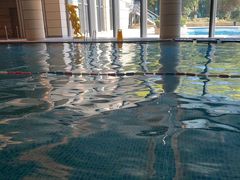 -海豚之星游泳俱乐部(喜来登馆)