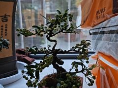 -昆明动物园