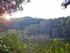 -深圳仙湖植物园