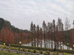 -三水森林公园