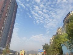 -合和大唐(江夏纸坊店)