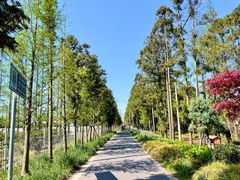 -上海长兴岛郊野公园