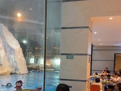 -帝企鹅自助餐厅•儿童岛•真企鹅(长隆企鹅酒店)