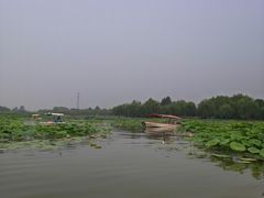 -白洋淀景区