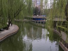 -团结湖公园