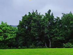 -广州市白云山风景名胜区